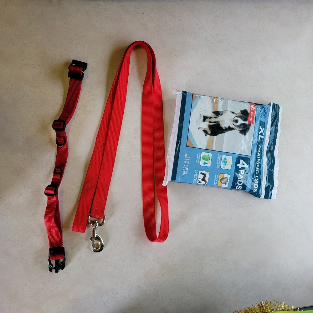 5/$15 Bundle Of Puppy Pads And Leash And  Collar